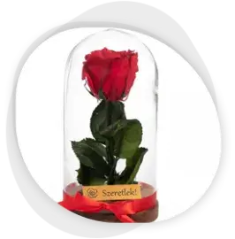 Örökrózsák, rózsaboxok