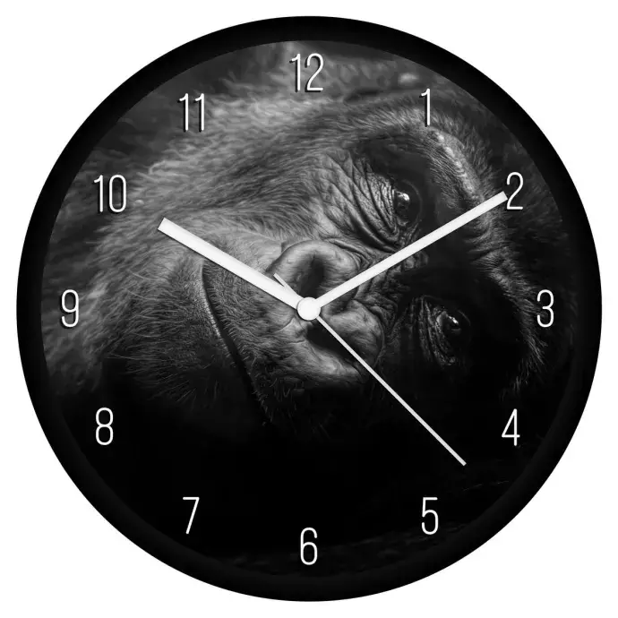 Gorilla bébi falióra