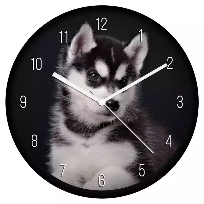 Husky falióra