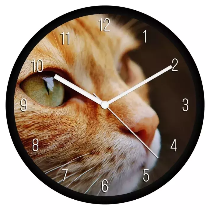Vörös cica pofi falióra
