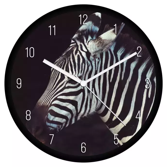Zebra falióra