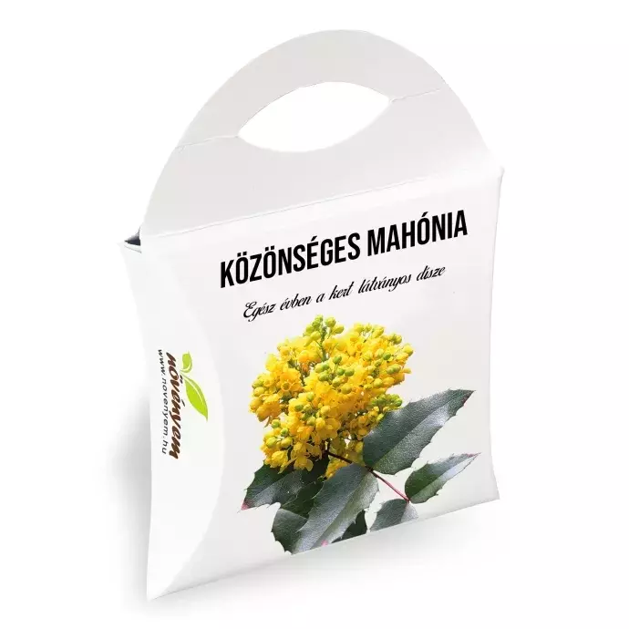 Közönséges Mahónia díszdobozban