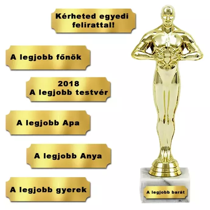 Egyedi Oscar-díj szobor - 24cm