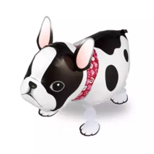 Sétáló lufi - Bulldog