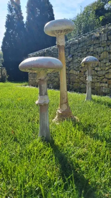 Beton gomba-csiperke-xl