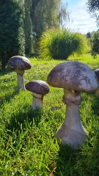 Beton gomba-Vargánya-M