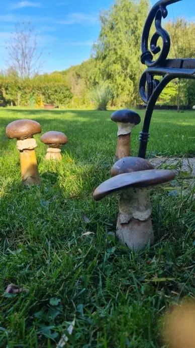 Beton gomba-Vargánya-S