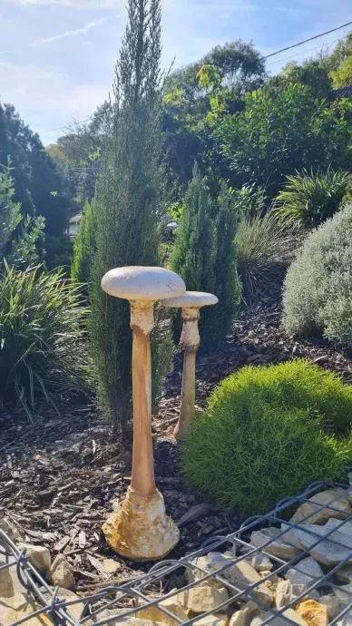 Beton gomba-csiperke-L