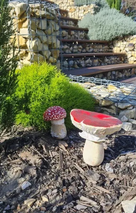 Beton gomba – légyölő galóca – kicsi