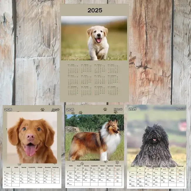 A4 - Egyedi fényképes kutyás naptár