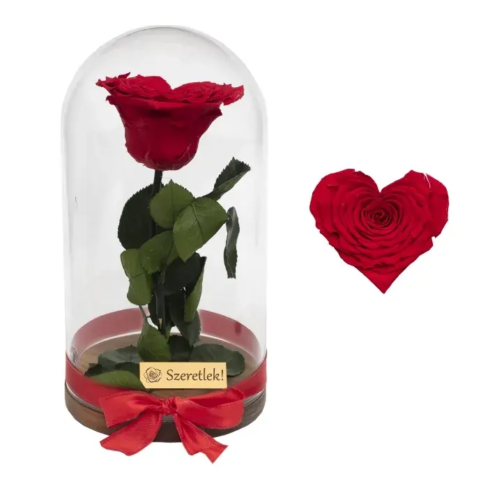 Szív alakú örökrózsa búrában - vörös Szív alakú örökrózsa búrában - vörös
