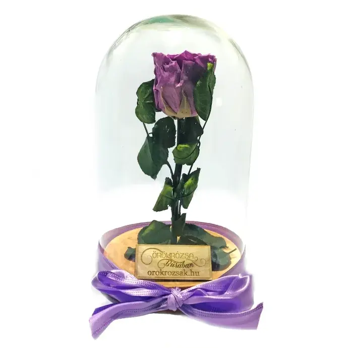 Örökózsa üvegbúrában - Akáclila