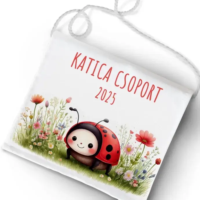 Ballagási tarisznya - Katica csoport