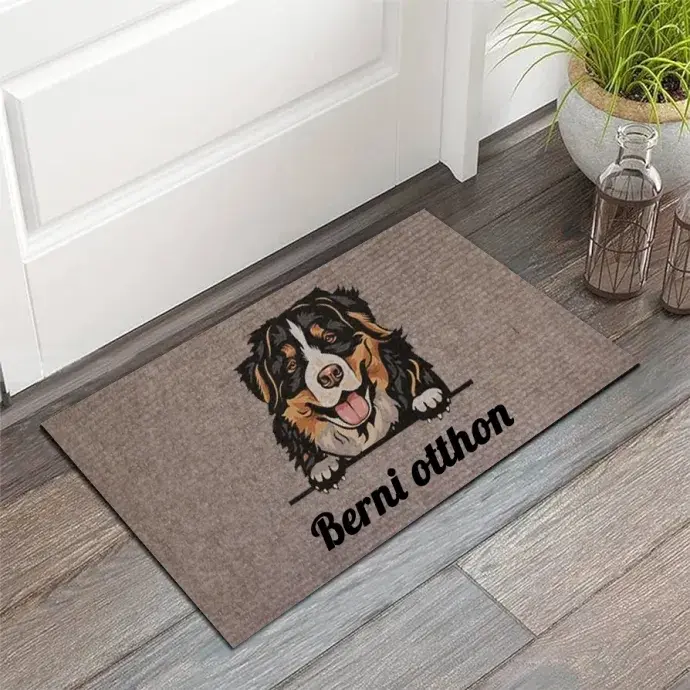 Lábtörlő - Berni Pásztor otthon beltéri lábtörlő
