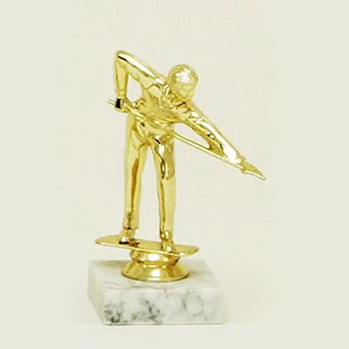 Serleg - Biliárdozó