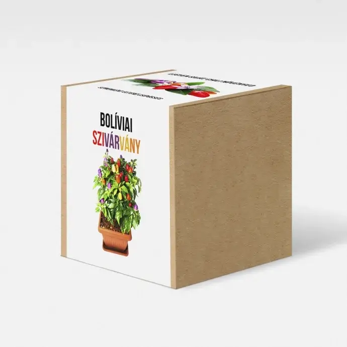 Bolíviai szivárvány chili paprika növény nevelő szett