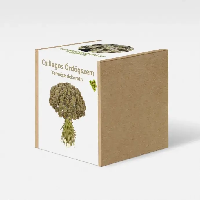 Csillagos ördögszem növény nevelő szett Csillagos ördögszem növény nevelő szett