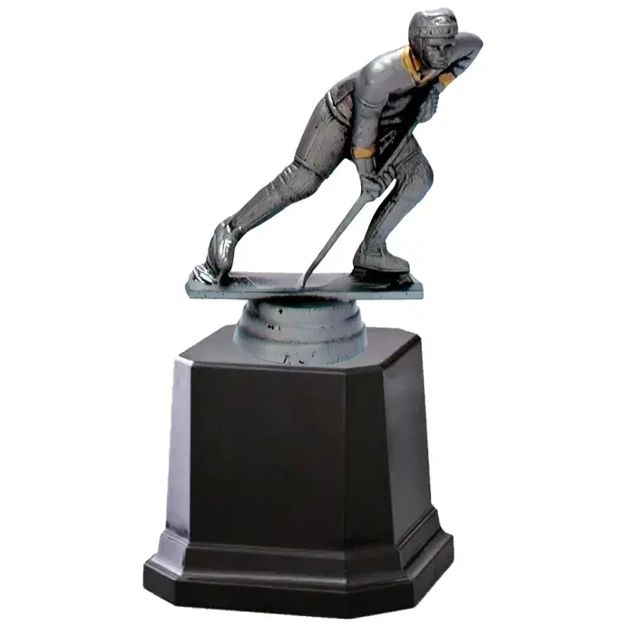 Díj - A legjobb hokis