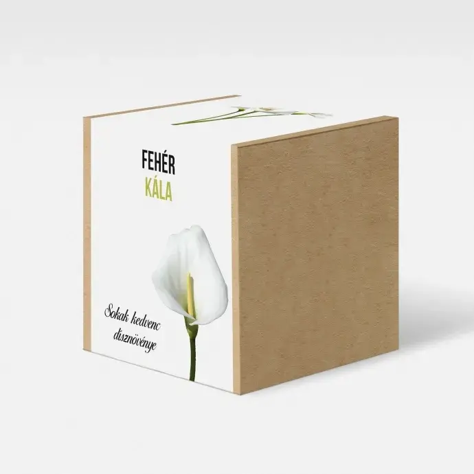 Fehér kála növény nevelő szett Fehér kála növény nevelő szett