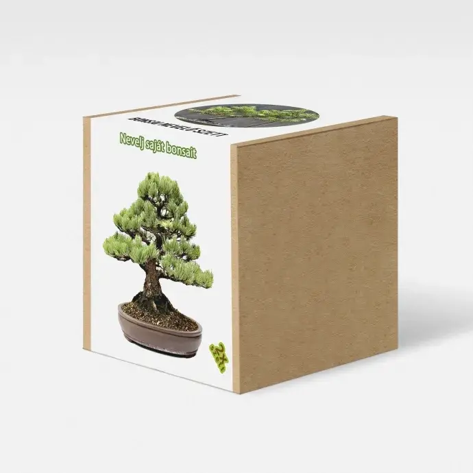 Fenyőfa bonsai nevelő szett Fenyőfa bonsai nevelő szett