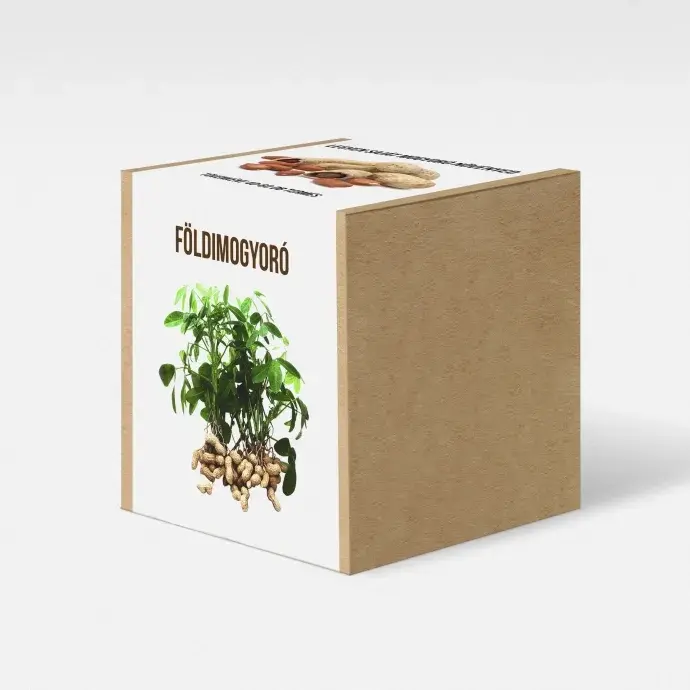 Földimogyoró növény nevelő szett Földimogyoró növény nevelő szett