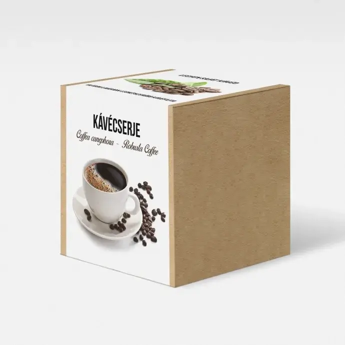 Kávécserje növény nevelő szett Kávécserje növény nevelő szett