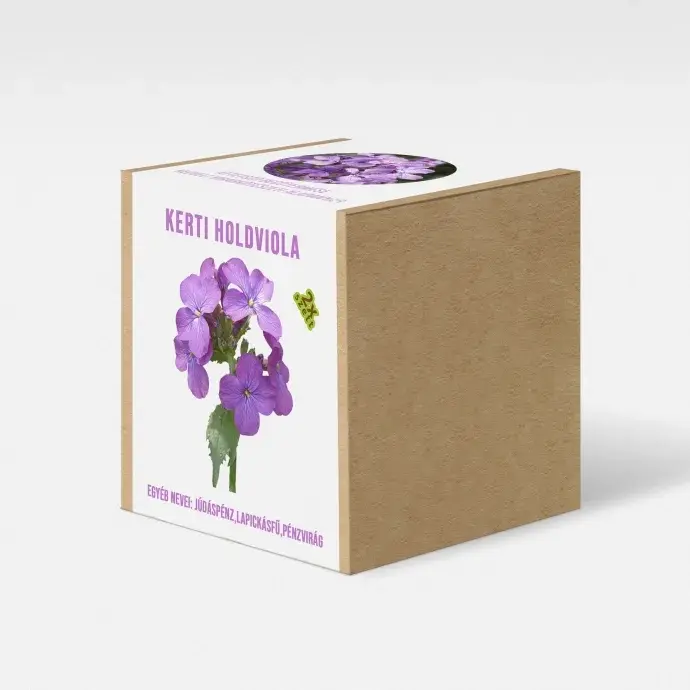 Kerti Holdviola növény nevelő szett Kerti Holdviola növény nevelő szett