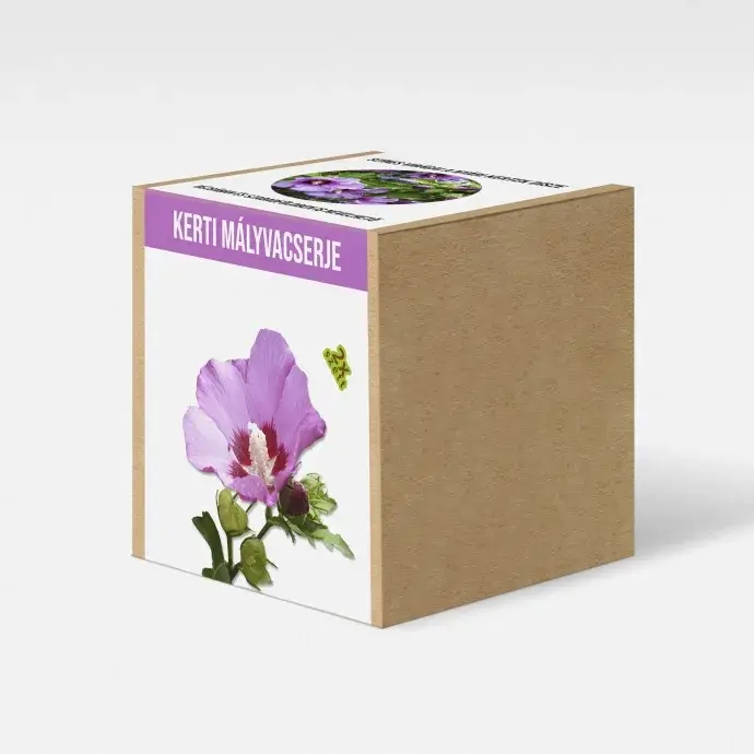 Kerti Mályvacserje növény nevelő szett Kerti Mályvacserje növény nevelő szett