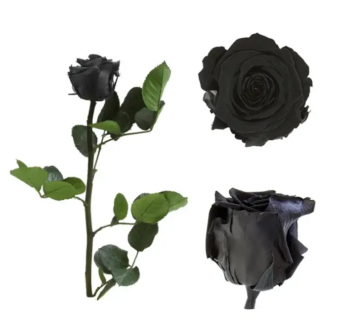 Örökrózsa díszdobozban fekete - kicsi