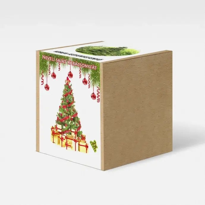 Koreai jegenyefenyő - karácsonyfa nevelő szett Koreai jegenyefenyő - karácsonyfa nevelő szett