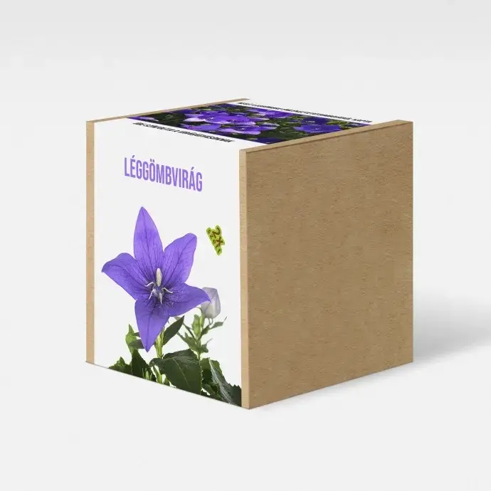 Léggömbvirág  növény nevelő szett Léggömbvirág  növény nevelő szett