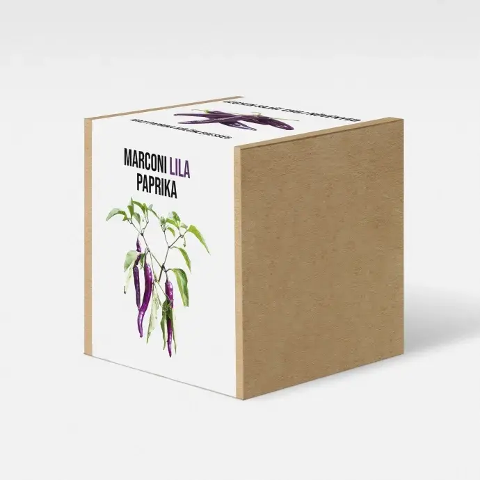 Lila marconi paprika növény nevelő szett Lila marconi paprika növény nevelő szett