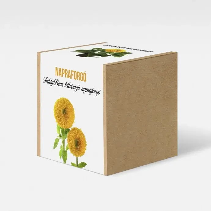 Napraforgó növény nevelő szett Napraforgó növény nevelő szett