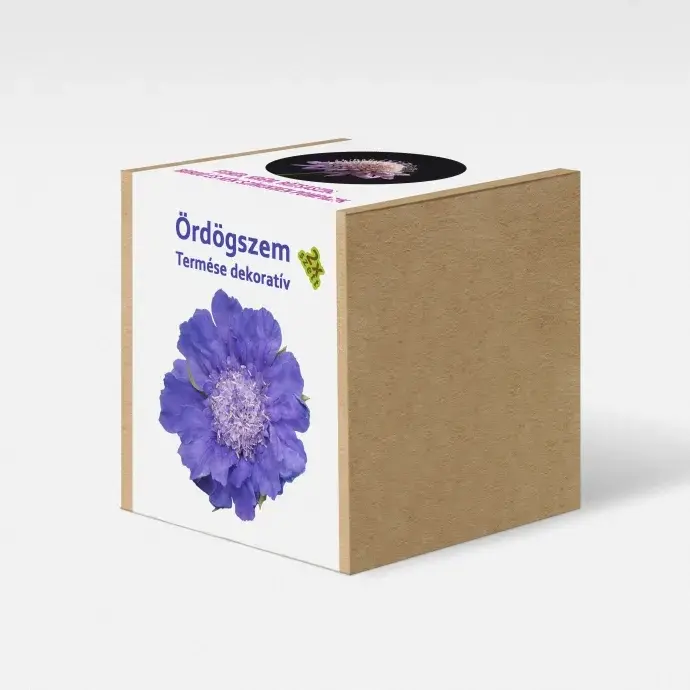 Ördögszem  növény nevelő szett Ördögszem  növény nevelő szett