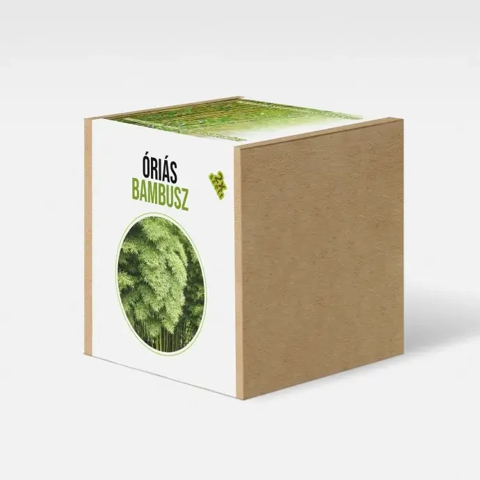 Óriásbambusz növény nevelő szett Óriásbambusz növény nevelő szett