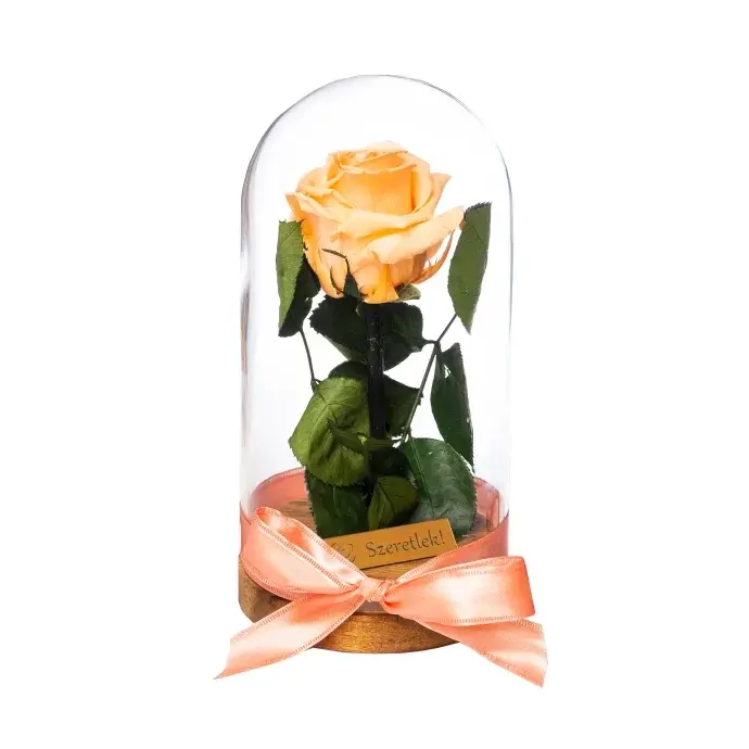 Örökrózsa üvegbúrában - Barack