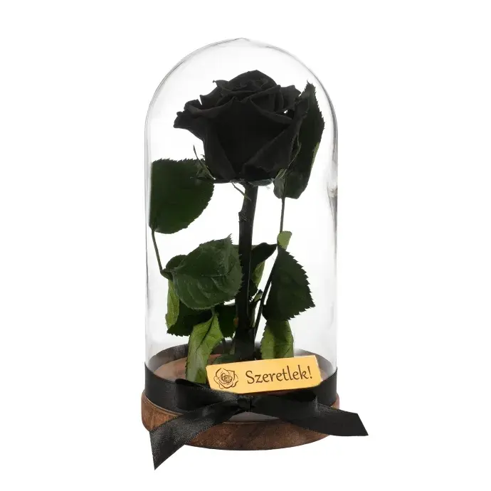 Örökrózsa üvegbúrában - fekete Örökrózsa üvegbúrában - fekete