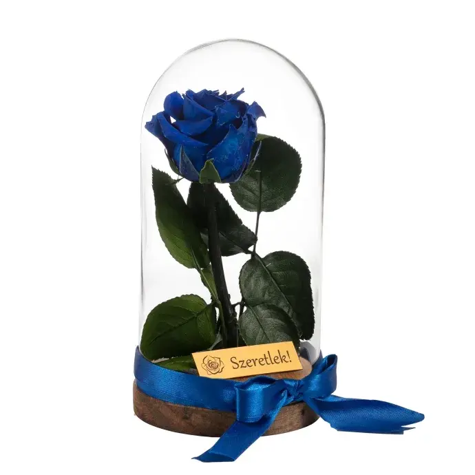 Örökrózsa üvegbúrában - királykék Örökrózsa üvegbúrában - királykék