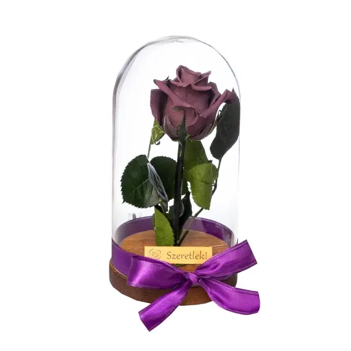 Örökrózsa üvegbúrában - Lila Örökrózsa üvegbúrában - Lila