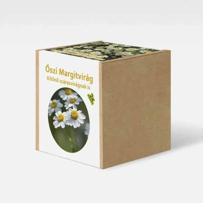 Őszi Margitvirág  növény nevelő szett Őszi Margitvirág  növény nevelő szett