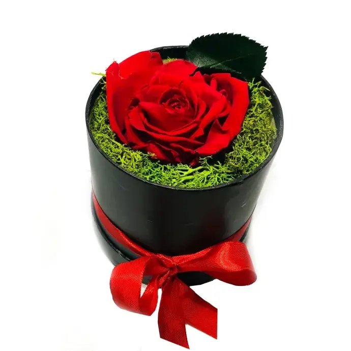 Vörös örökrózsa díszdobozban
