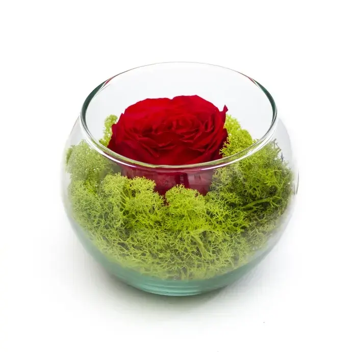 Örökrózsa zuzmóval üvegkaspóban