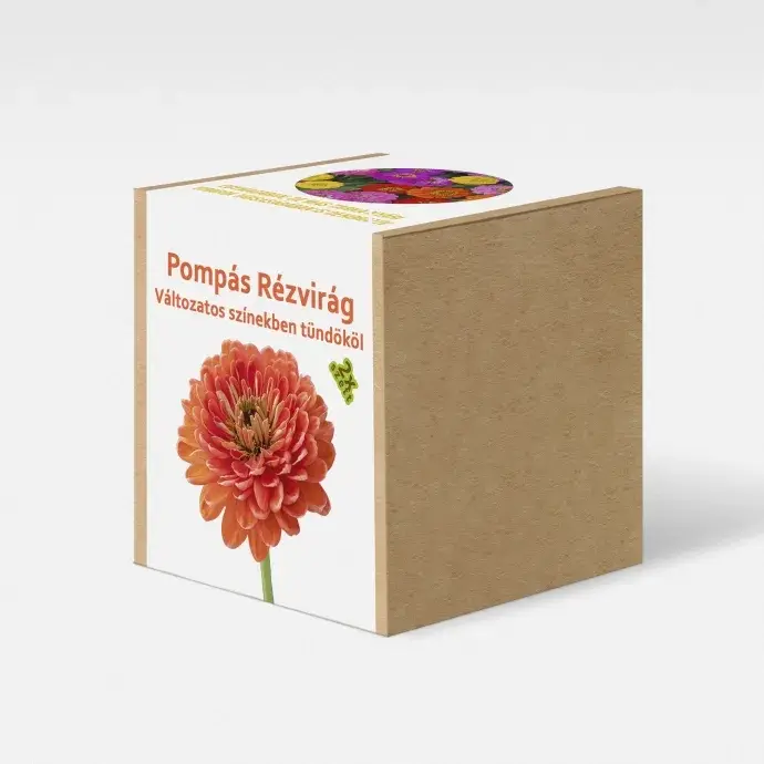 Pompás rézvirág  növény nevelő szett Pompás rézvirág  növény nevelő szett