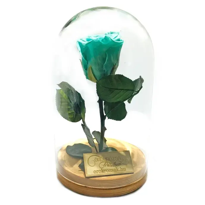 Örökózsa üvegbúrában -  Menta