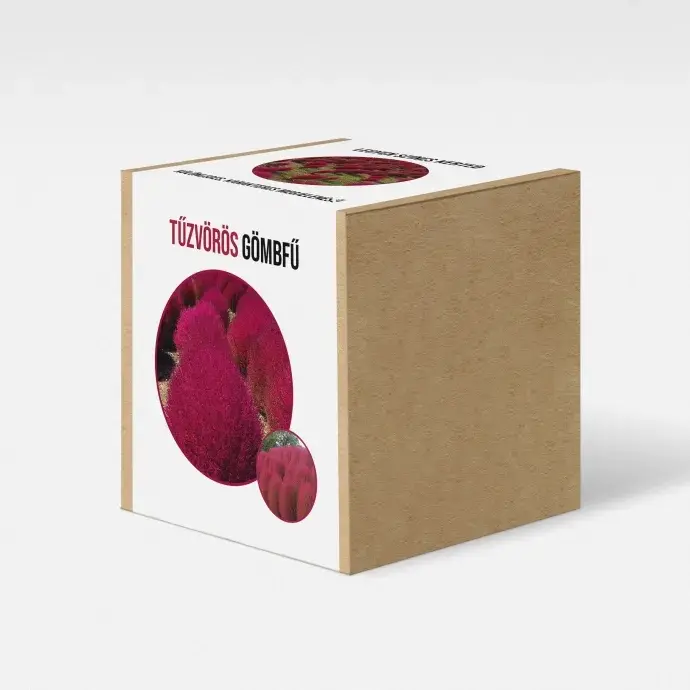 Tűzvörös gombfű növény nevelő szett Tűzvörös gombfű növény nevelő szett