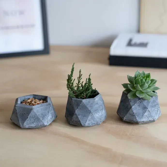 Sík lapos mintás növénytartó - "Plante" - fekete