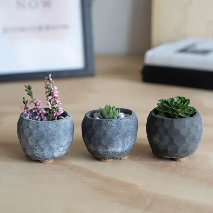 Mini növénytartó - "Terme" - fekete