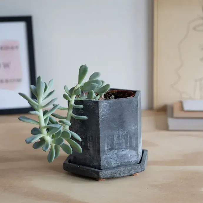 Sík falú növénytartó alátéttel - "Assez" - fekete