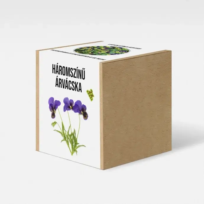 Háromszínű árvácska növény nevelő szett Háromszínű árvácska növény nevelő szett