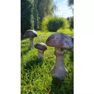 Beton gomba-Vargánya-M